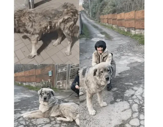 Преображение!