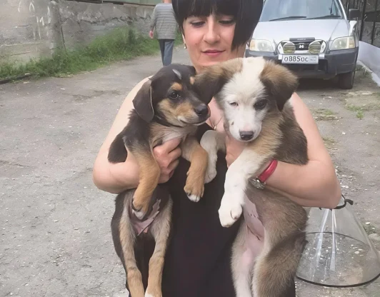 И снова пополнение!